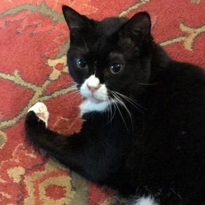 Meet your Posher, Sally